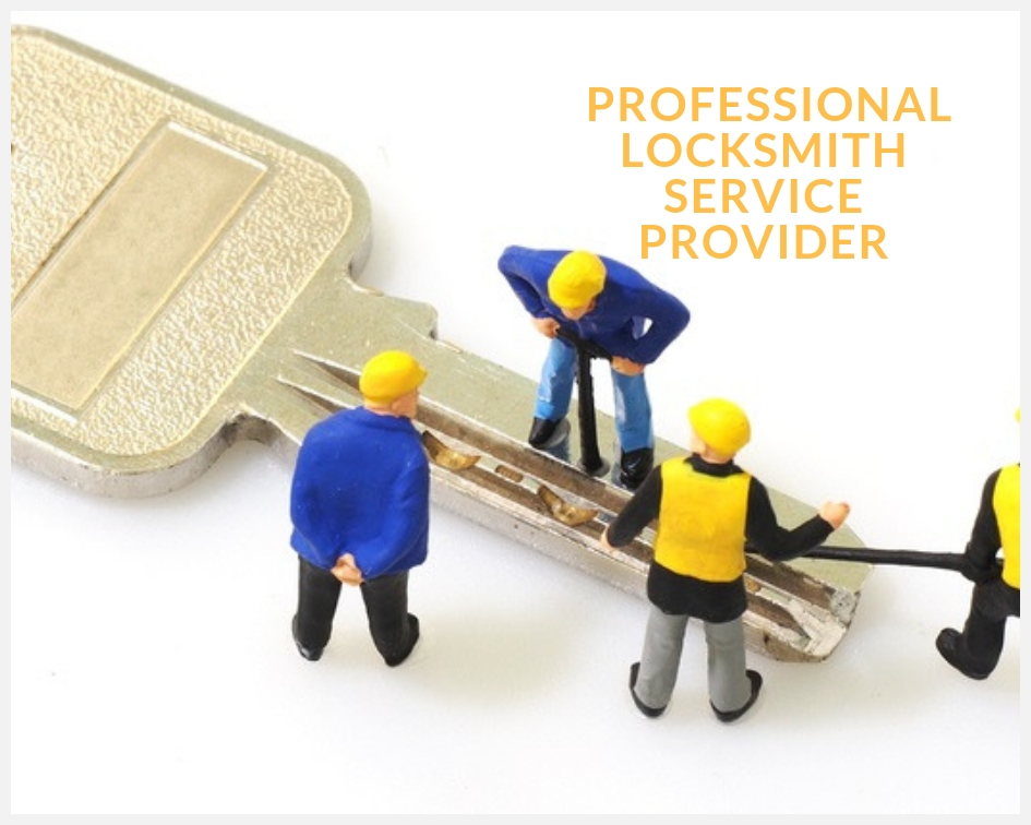 Professional Locksmith